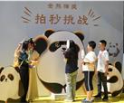 成都街头“熊猫”含量超高 金熊猫奖未开先热