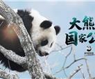 峨影“大熊猫生态文化”影片创制之路