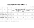 峨眉电影集团有限公司负责人薪酬信息表