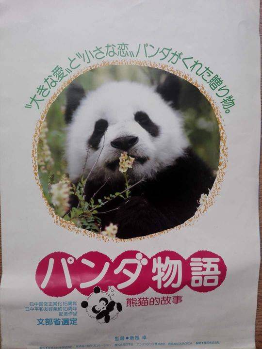 熊猫3.jpg 熊猫3.jpg