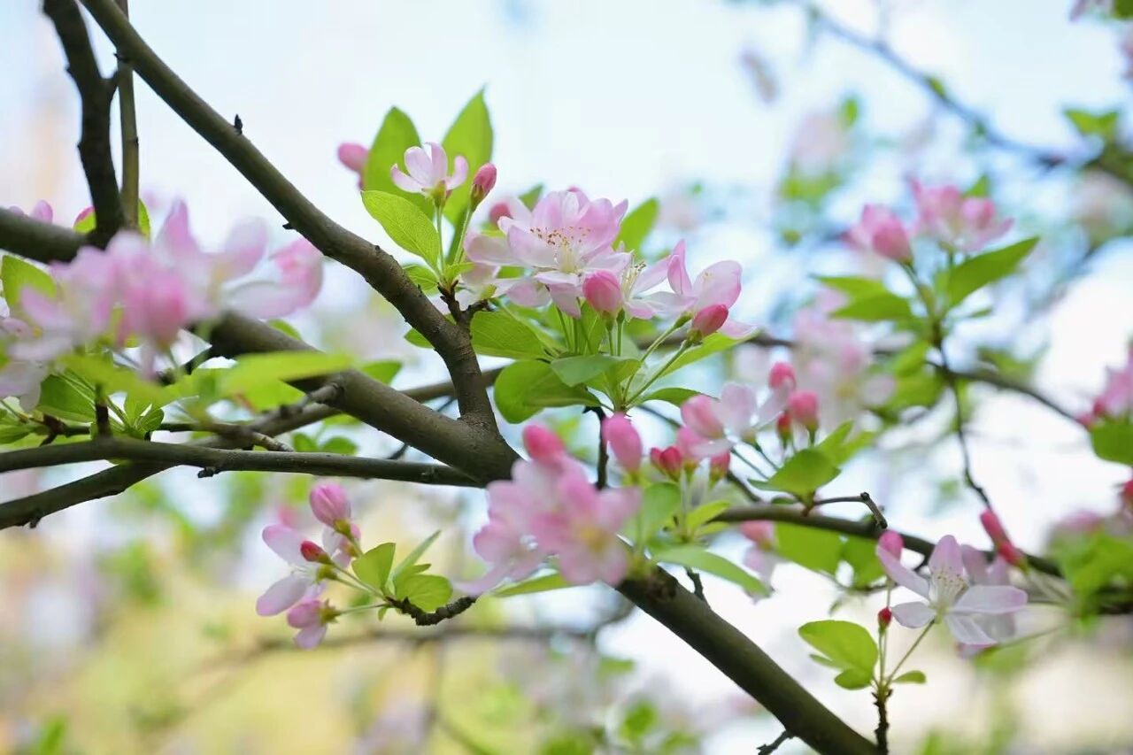 微信圖片_2026-03-16_135309_218.jpg 微信圖片_2026-03-16_135309_218.jpg