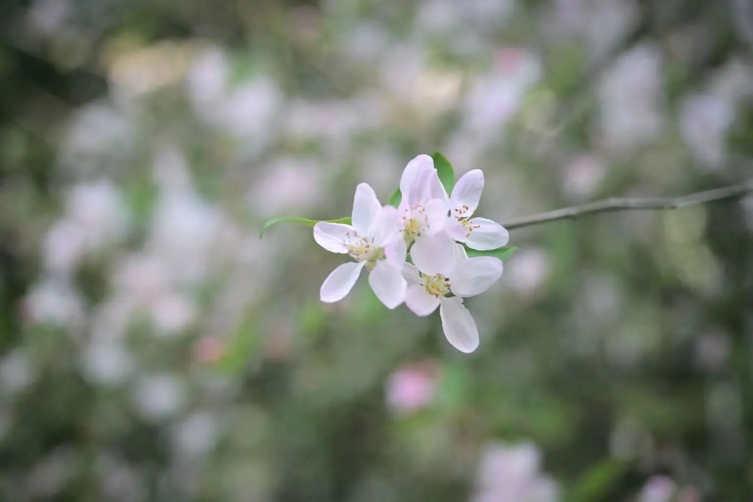 微信圖片_2026-03-16_135317_152.jpg 微信圖片_2026-03-16_135317_152.jpg