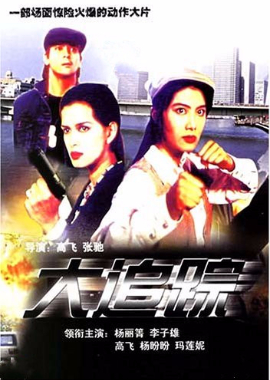 大追踪